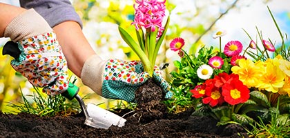 TT_Gardening-FAQs