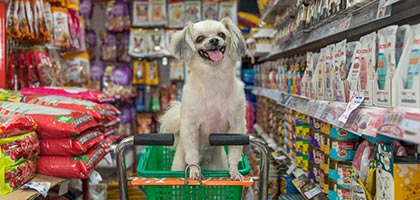 TT_Pet-Products