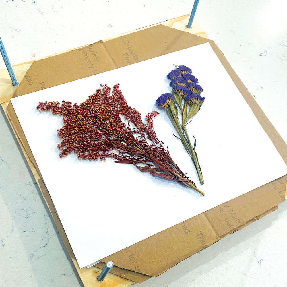 ProjPnt_Flower-Press