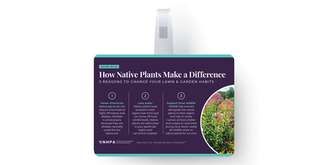 native-plants_Featured